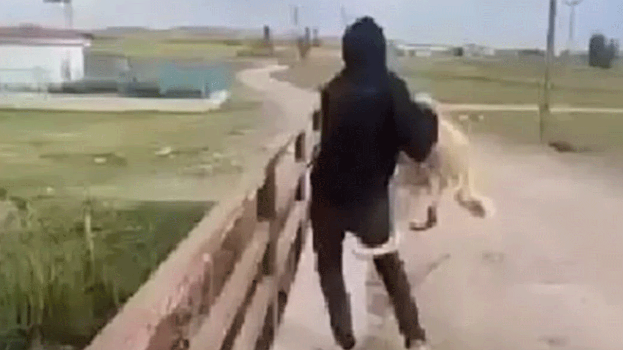 Köpeği Köprüden Suya Atan 2 Kişiye Adli İşlem