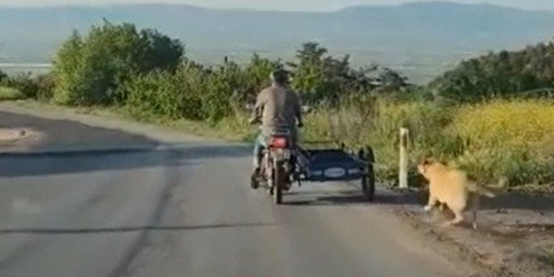 Köpeği motosikletin arkasına bağlayan vicdansız sürücü yakalandı