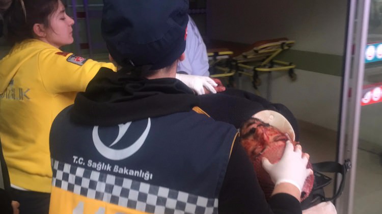 Köpeği polislerin üzerine saldı! Başından vuruldu