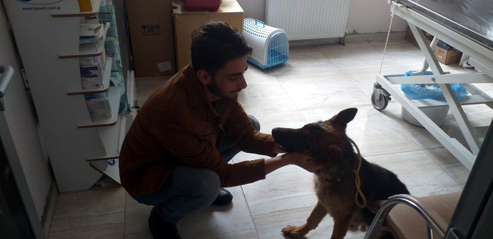 Köpeği sopayla döven yabancı uyruklu şahsa 947 TL ceza verildi 