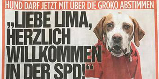 Alman partisine 'köpek' oyunu