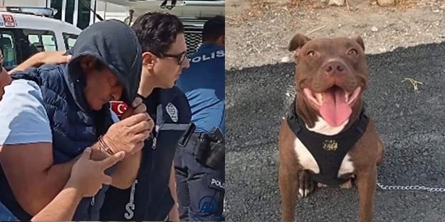 Köpeği yakarak öldüren cani tutuklandı