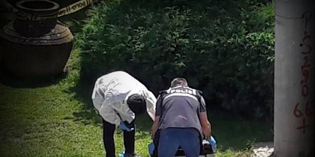 Köpeğin ağzında insan uzvu görünce gerçek ortaya çıktı