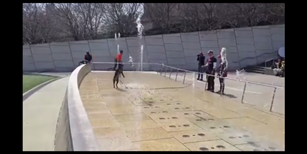 Köpeğin fıskiyeyle imtihanı - VIDEO