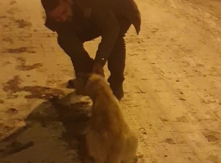 Köpeğin imdadına duyarlı vatandaş yetişti 