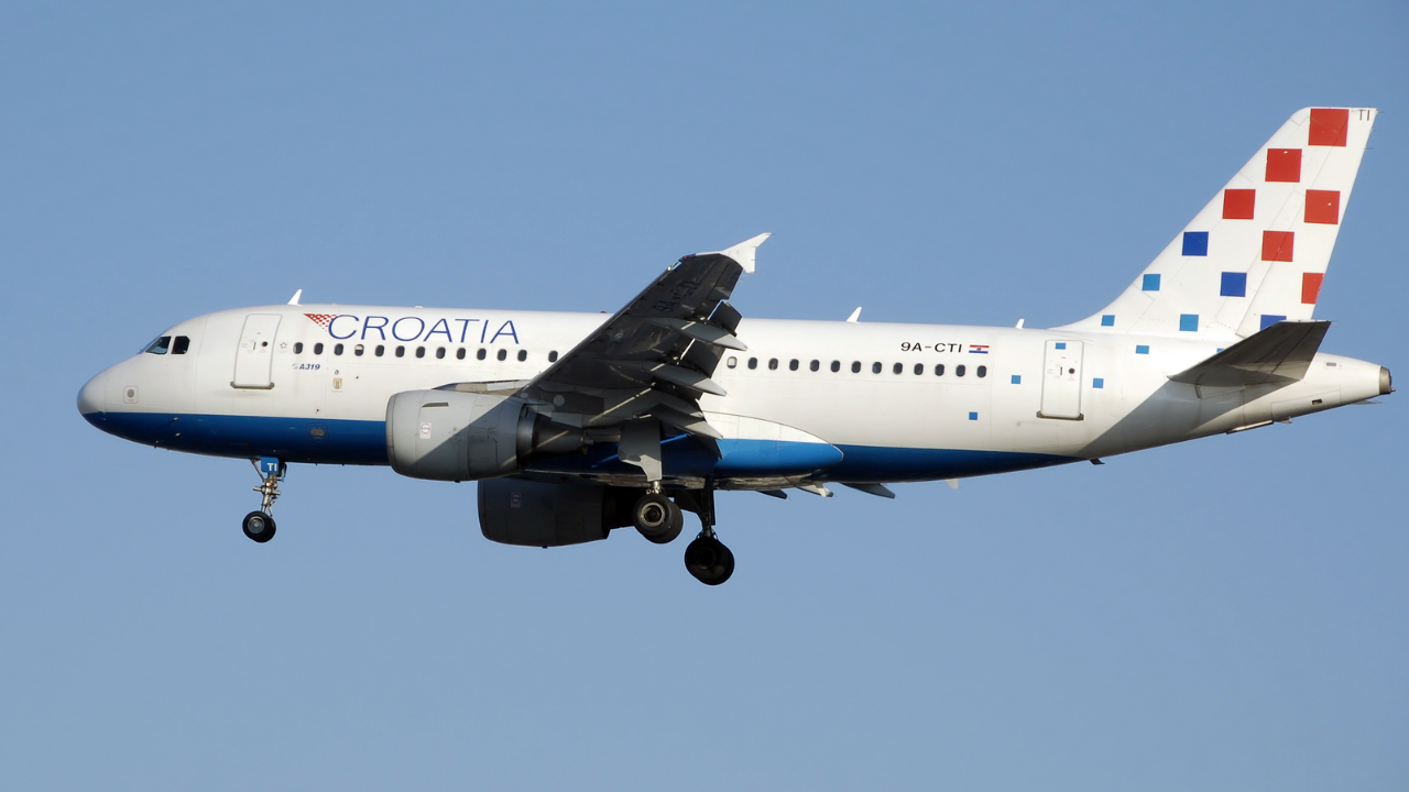 Köpeğin indirdiği uçak, 13 gün havalanamadı!