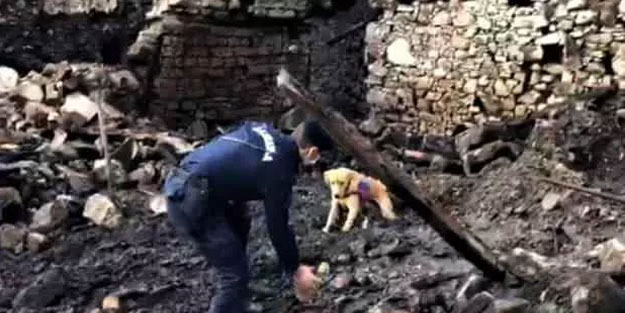 Köpeğin işaret ettiği yeri kazınca korkunç manzarayla karşılaştı