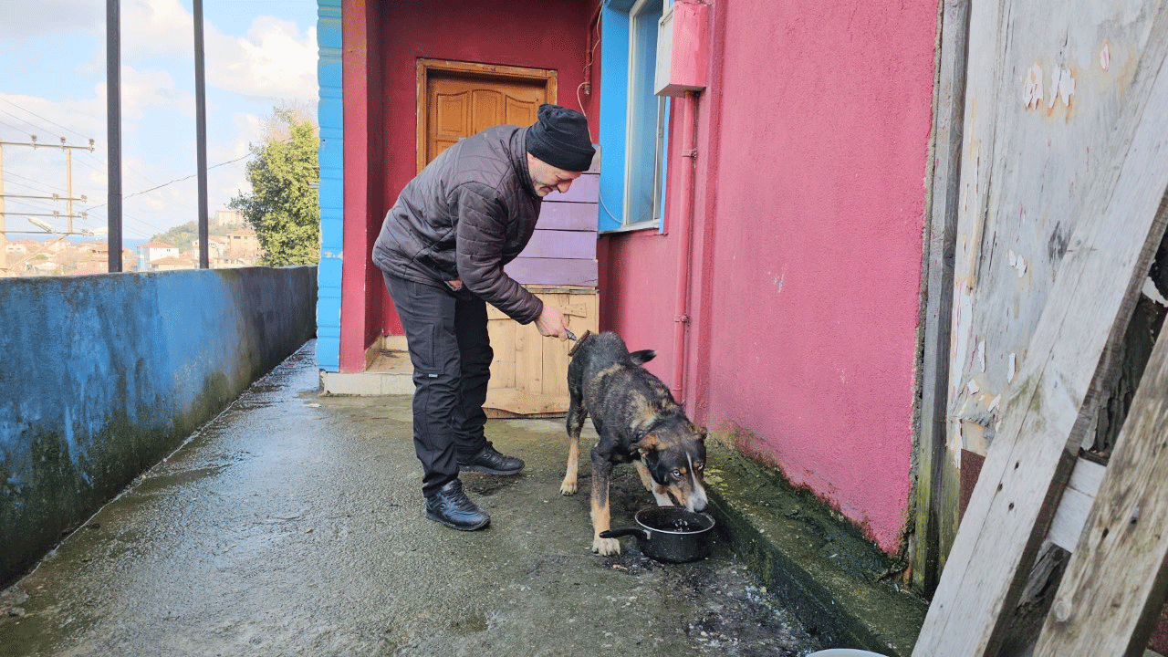 Köpeğin vefası herkesi duygulandırdı!