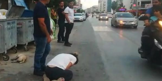 Köpeğine araba çarpan genç kız sinir krizi geçirdi!