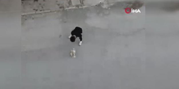 Köpeğine işkence eden şahsın görüntüsüne tepki yağdı! Hayvanseverler nerede?