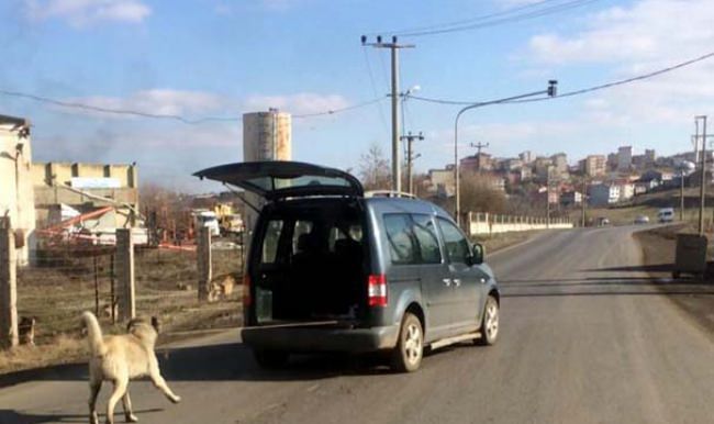 Köpeğini araca bağlayıp sürükleyen şahsa ceza