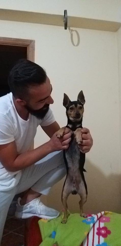 Köpeğini bulan kişiye 500 TL para ödülü verdi 