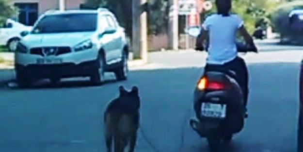 Köpeğini motosiklete bağlayan kadın kendini böyle savundu!