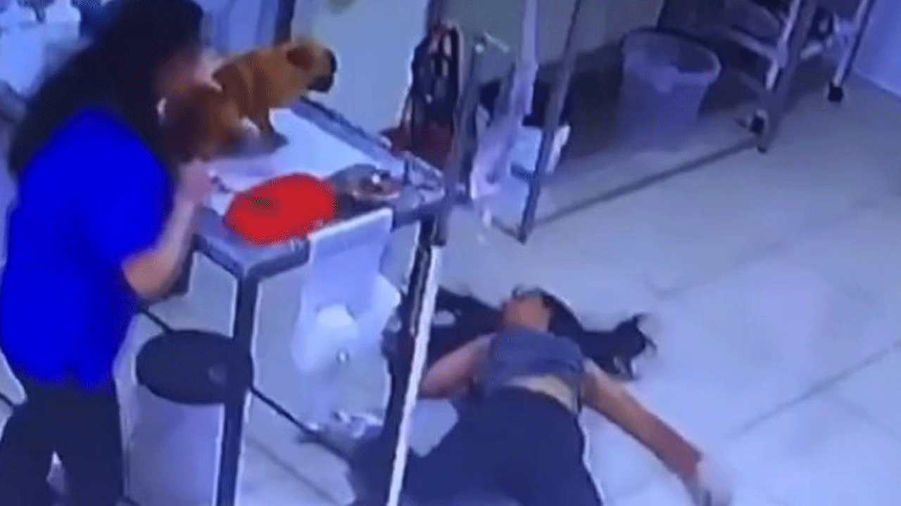 Köpeğini tedavi ettiren kadın aniden yere yığıldı!