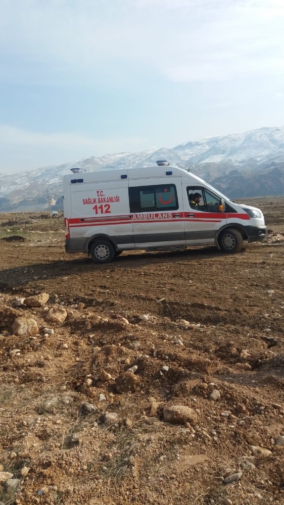 Köpek 11 yaşındaki çocuğa saldırıp ısırdı 