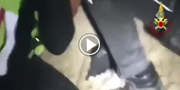 Köpek 35 saat sonra enkazdan sağ çıkarıldı