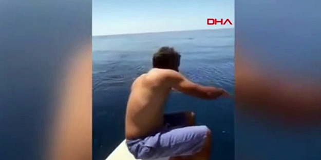 Köpek balığı sırtında sörf yaptı!