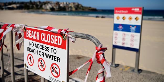 Köpek balığının saldırısına uğrayan sörfçü öldü