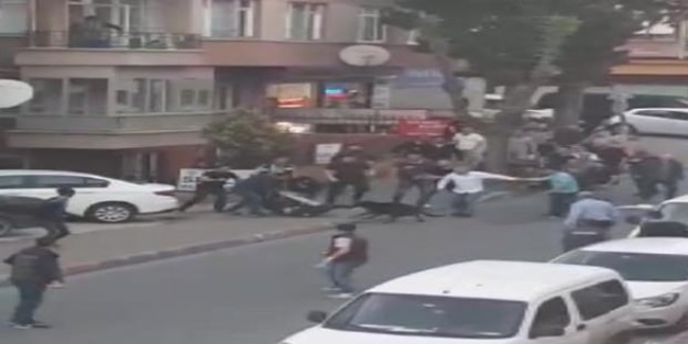 Köpek dehşeti! Anesteziden çıkınca saldırdı
