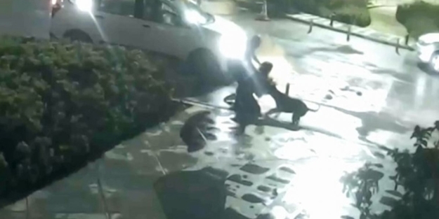 Köpek dehşeti: Kızını korumak isteyen anne ağır yaralandı! Sahibi skandal bir şekilde serbest bırakıldı