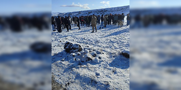 Köpek dövüştüren vicdansızlara suçüstü!