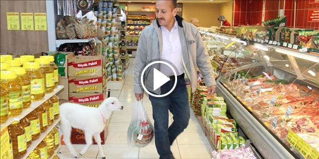 Köpek gibi sürekli sahibinin peşinde!