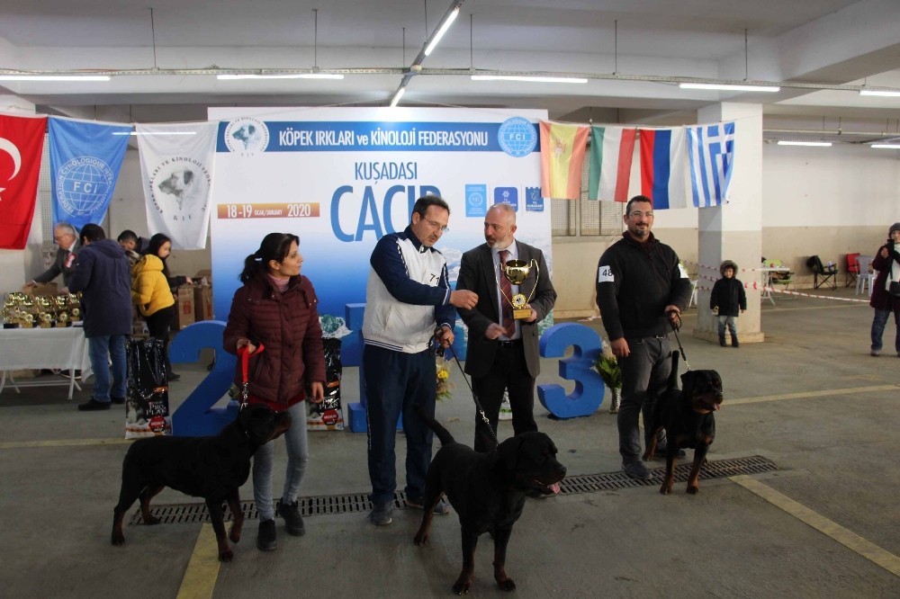 Köpek ırkları yarışması sona erdi 