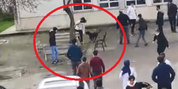 Köpek liseye dalıp dehşet saçmıştı! Okuldan açıklama