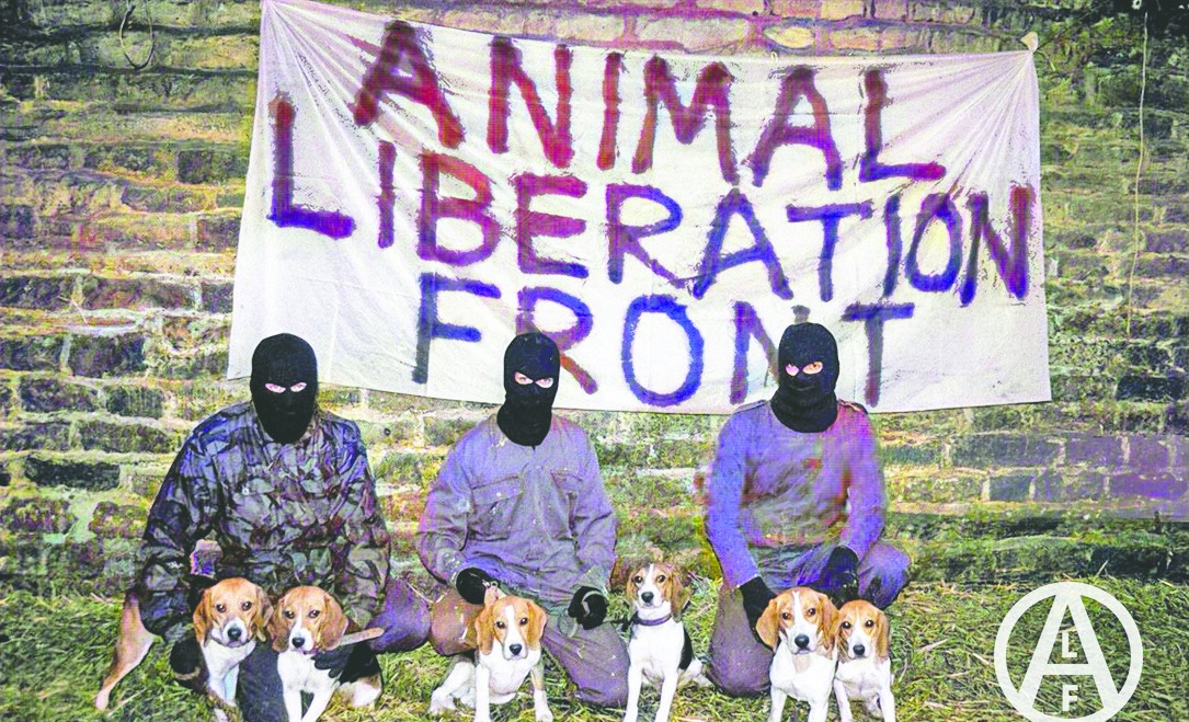 Köpek lobisinin arkasında terörist "ALF" örgütü var