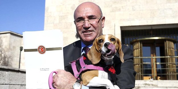 Köpek Meclis’te!