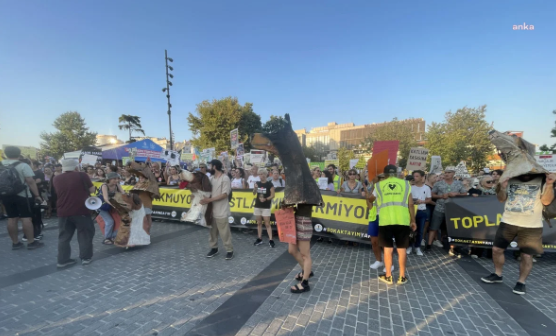 Köpek olmayı bile beceremediler