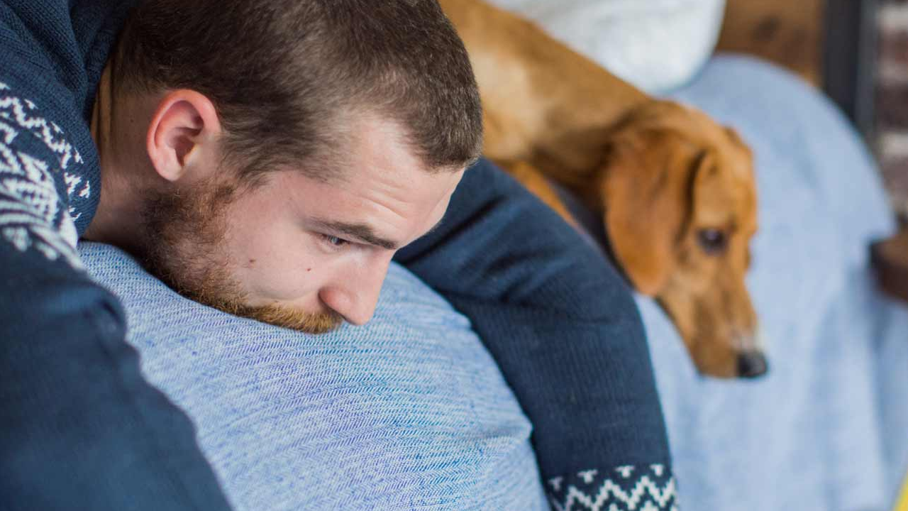 'Köpek sahibi olmak stresle başa çıkmak yerine olumsuz duyguları artırabiliyor!'