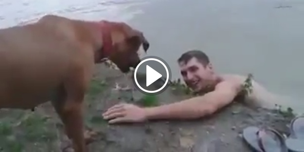 Köpek sahibini boğuluyor zannedince...