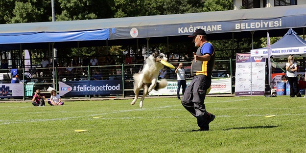 Köpek sahibiyseniz bu sporu mutlaka deneyin