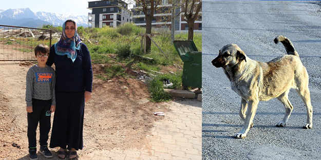 Köpek saldırısında yaralanan çocuk, olayın etkisinden kurtulamıyor!