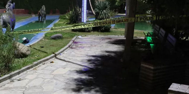 Köpek tartışmasında kan aktı