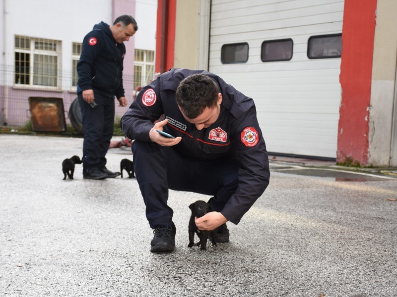 Köpek yavruları için itfaiye seferber oldu 