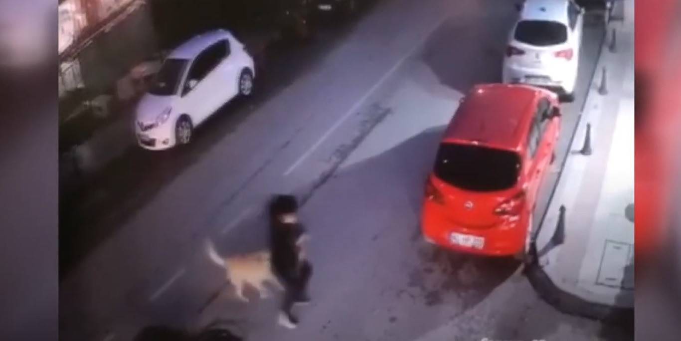 Köpekler bir anda saldırdı, genç adam neye uğradığını şaşırdı!