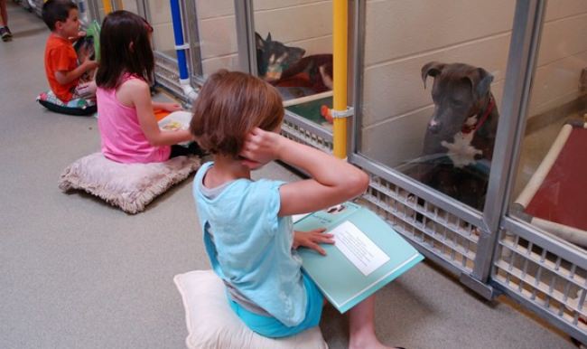 Köpekler için kitap okuyan çocuklar!