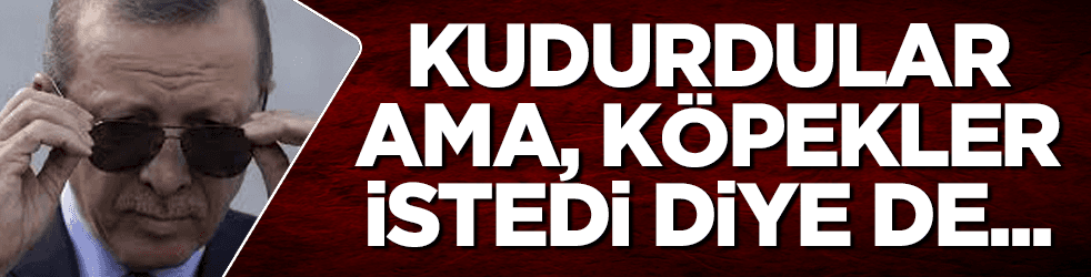 Köpekler istedi diye aslanlar ölmez