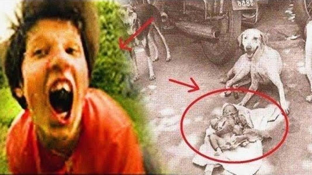 Köpekler tarafından büyütülmüştü, şoke geden haber tüm dünyaya duyuruldu! Yok artık daha neler