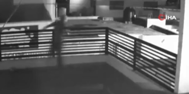 Köpekler tarafından kovalanan hırsız çatıdan böyle atladı