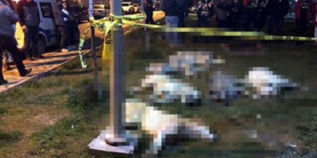 Köpekleri katleden caniler için istenen ceza...