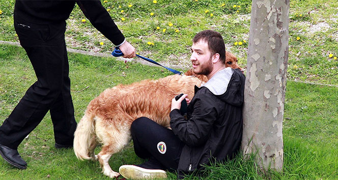 Köpekleri uğruna dereye atladılar