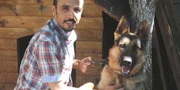 Köpeklerin kelimeleri ayırt edebildiğini ispatladı