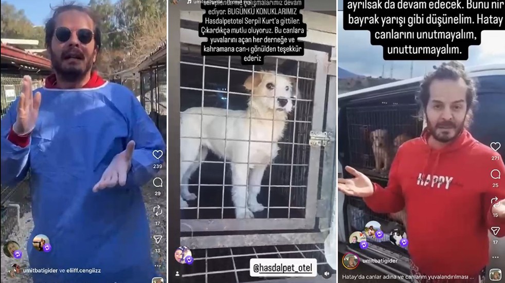 Köpekperestler iyice zıvanadan çıktı! Karantinaya rağmen köpek sevkiyatı