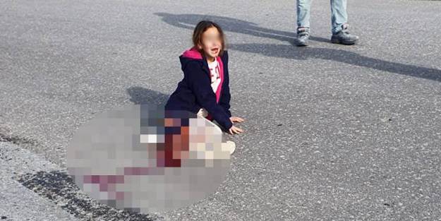 Köpekperestlere tepki yağdı!