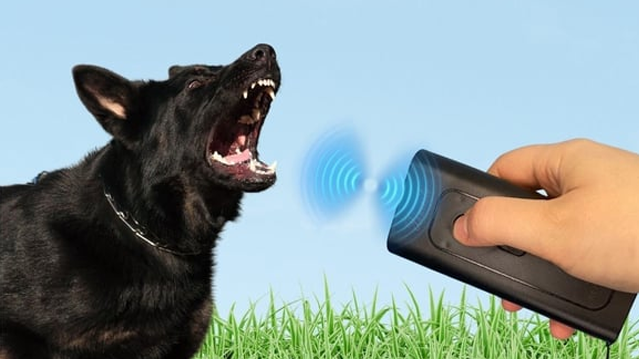 Köpeksavarlar İşe Yarıyor mu? İşte Detaylar