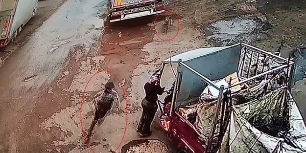 Köpekten kaçan 12 yaşındaki çocuğa araba çarptı! O anlar kameralara yansıdı