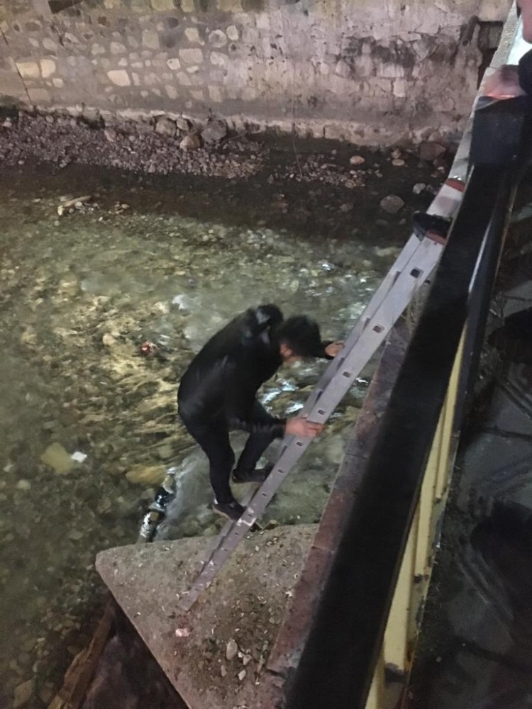 Köprüde mahsur kalan kediyi genç adam kurtardı 